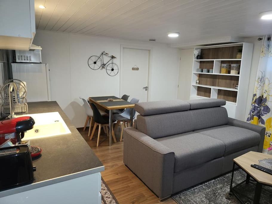 Appartement 2 Pieces Pres Du Lac De Bouzey Sanchey Eksteriør bilde